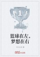 篮球在左,梦想在右