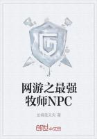 网游之最强牧师NPC