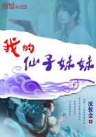 我的仙子妹妹