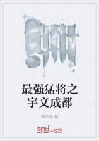最强猛将之宇文成都