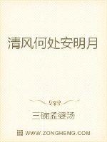 清风何处安明月