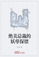 绝美总裁的妖孽保镖