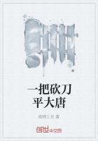 一把砍刀平大唐