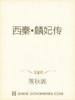 西秦?麟妃传