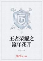 王者荣耀之流年花开