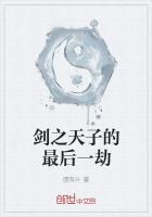 剑之天子的最后一劫