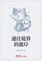 通往镜界的彼岸