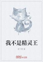我不是精灵王