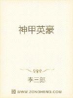神甲英豪