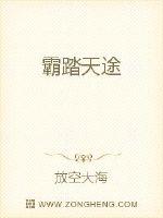 霸踏天途