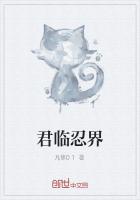 君临忍界