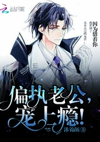 偏执老公,宠上瘾！