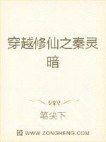 穿越修仙之秦灵暗