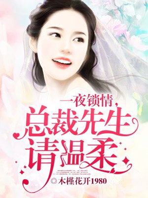 一夜锁情,总裁先生请温柔（情深不负,总裁老公太霸道）