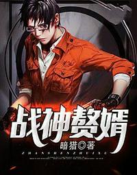 叶城柳昭晴免费阅读