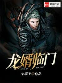 龙婿陈立