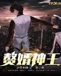 赘婿神王