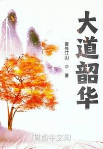 大道韶华