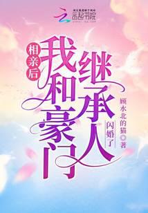 相亲后,我和豪门继承人闪婚了