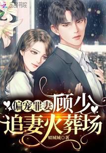 偏宠罪妻：顾少,追妻火葬场