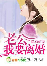 隐婚萌妻,老公我要离婚！