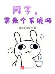 同学,要来个系统吗
